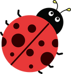 Cute Ladybug Insect